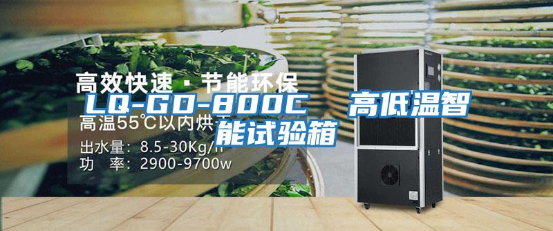 LQ-GD-800C  高低温智能试验箱