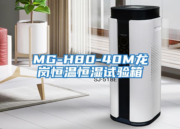 MG-H80-40M龙岗恒温恒湿试验箱