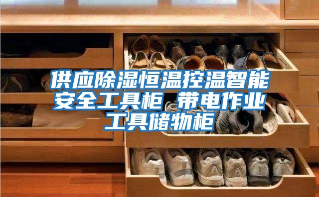 供应除湿恒温控温智能安全工具柜 带电作业工具储物柜
