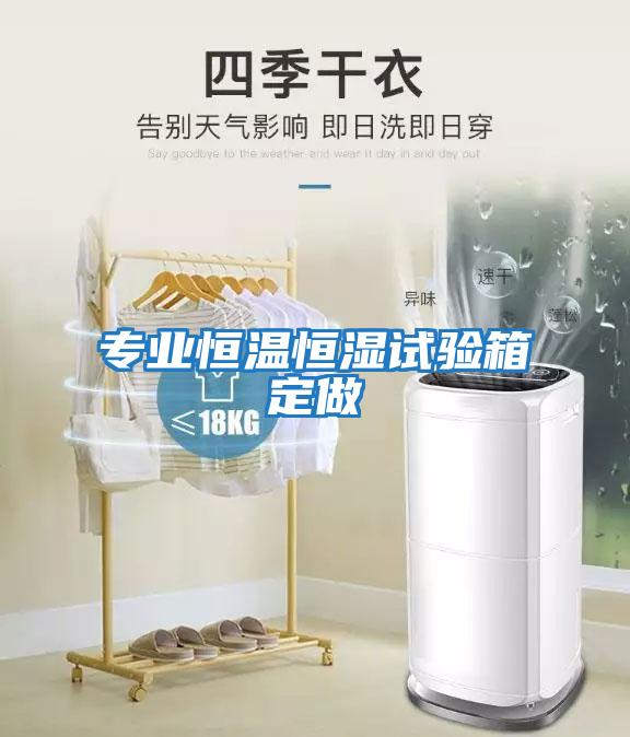 专业恒温恒湿试验箱定做
