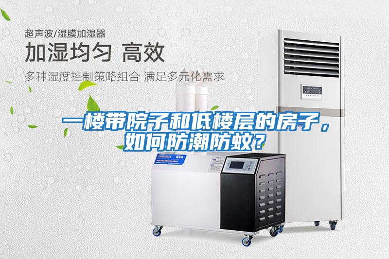 一楼带院子和低楼层的房子，如何防潮防蚊？