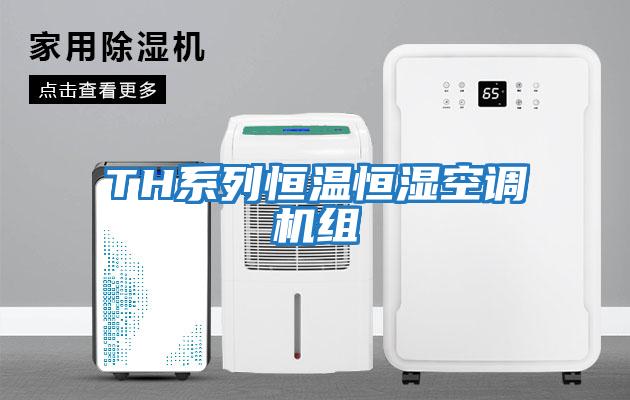 TH系列恒温恒湿空调机组