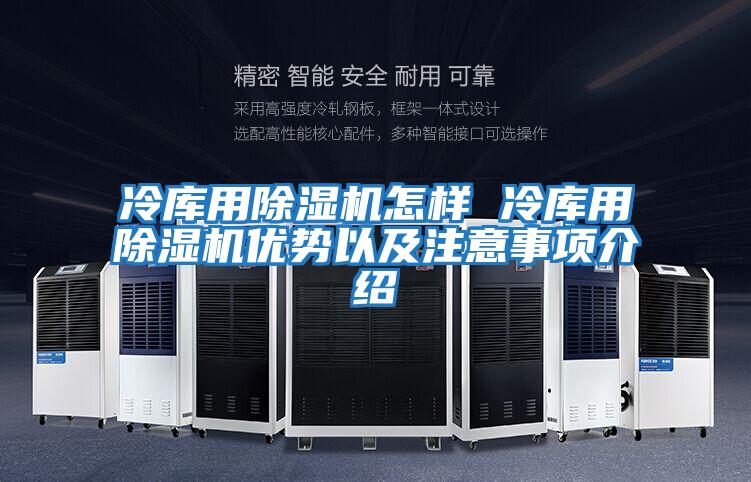 冷库用除湿机怎样 冷库用除湿机优势以及注意事项介绍