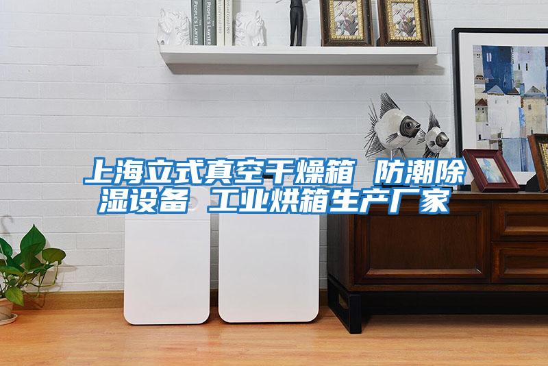 上海立式真空干燥箱 防潮除湿设备 工业烘箱生产厂家