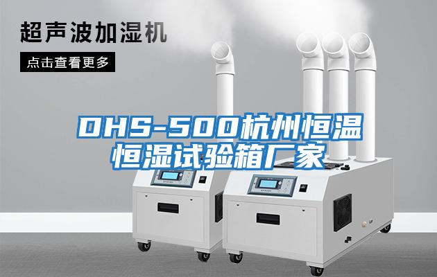 DHS-500杭州恒温恒湿试验箱厂家