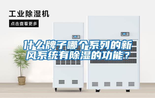 什么牌子哪个系列的新风系统有除湿的功能？