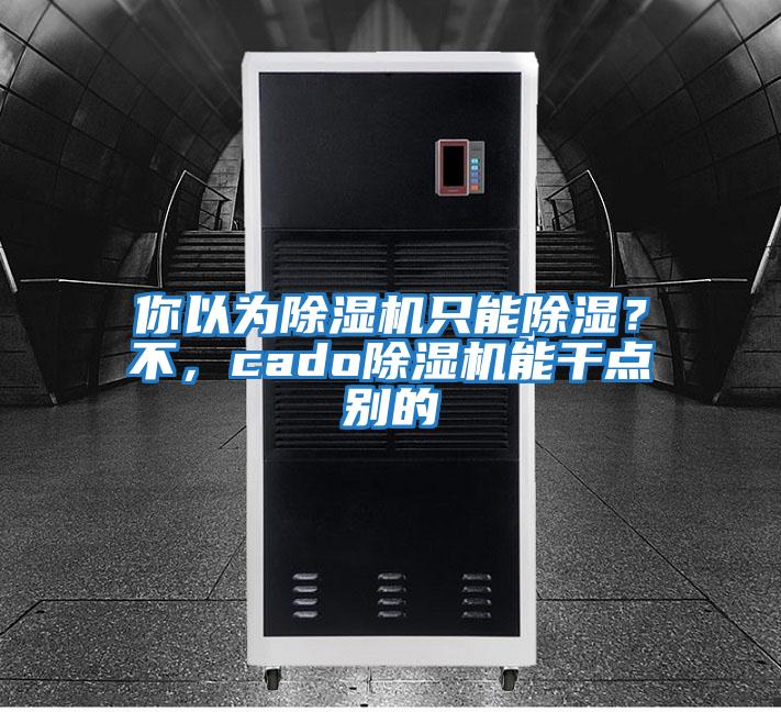 你以为除湿机只能除湿？不，cado除湿机能干点别的