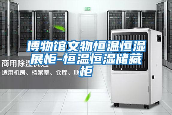博物馆文物恒温恒湿展柜-恒温恒湿储藏柜