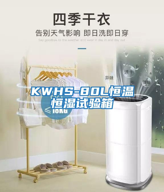 KWHS-80L恒温恒湿试验箱