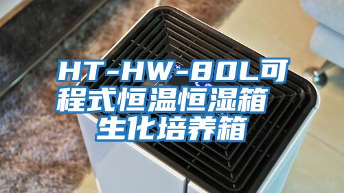 HT-HW-80L可程式恒温恒湿箱 生化培养箱