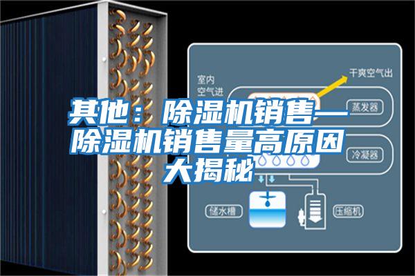 其他：除湿机销售—除湿机销售量高原因大揭秘