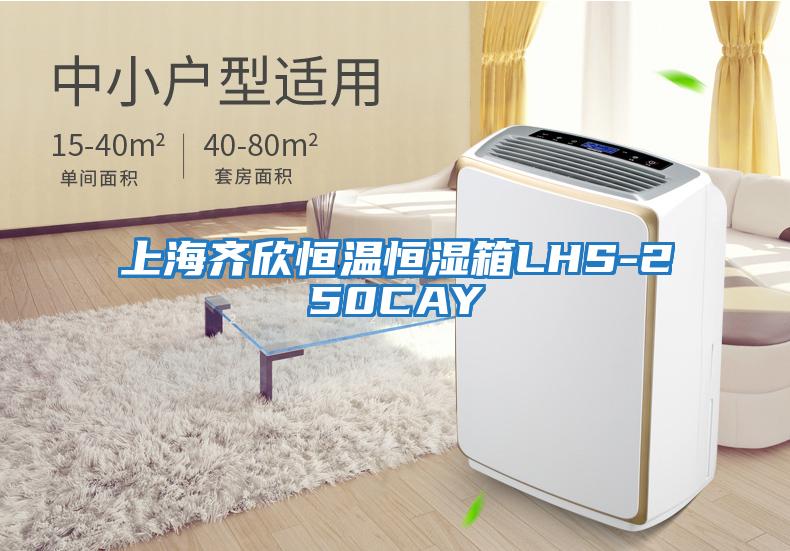 上海齐欣恒温恒湿箱LHS-250CAY