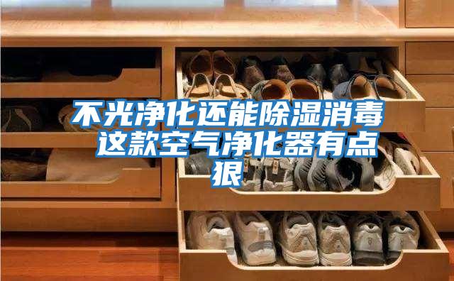 不光净化还能除湿消毒 这款空气净化器有点狠