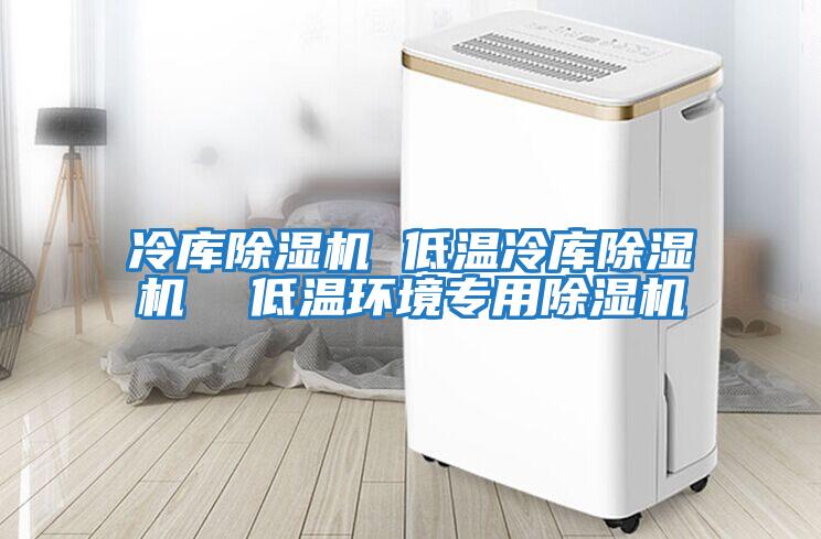 冷库除湿机 低温冷库除湿机  低温环境专用除湿机