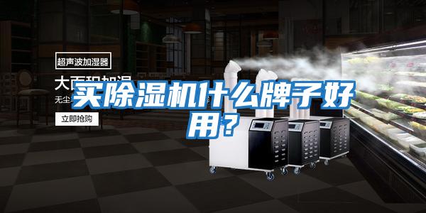 买除湿机什么牌子好用？
