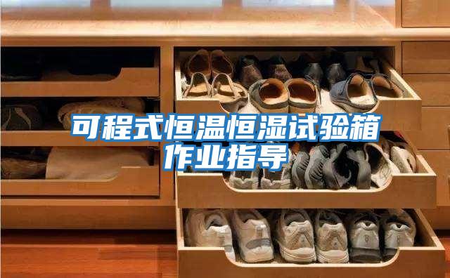 可程式恒温恒湿试验箱作业指导