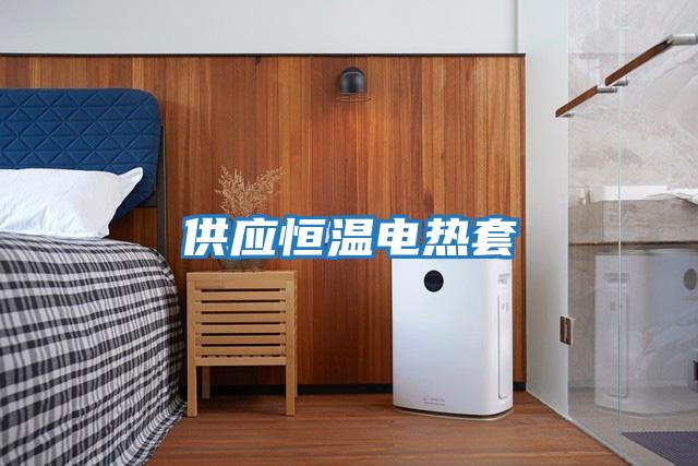 供应恒温电热套