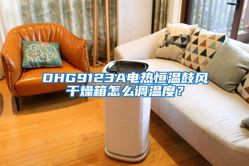 DHG9123A电热恒温鼓风干燥箱怎么调温度？