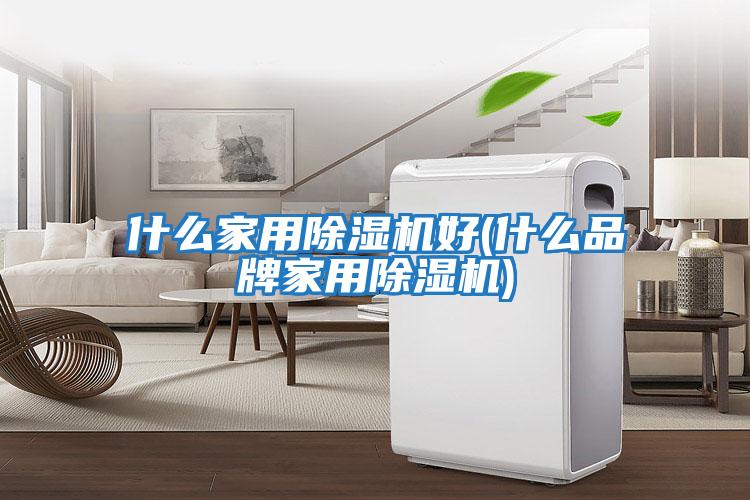 什么家用除湿机好(什么品牌家用除湿机)