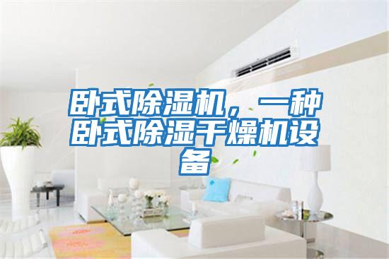 卧式除湿机，一种卧式除湿干燥机设备