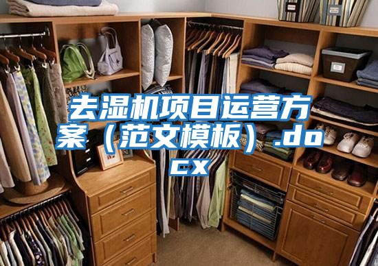 去湿机项目运营方案（范文模板）.docx