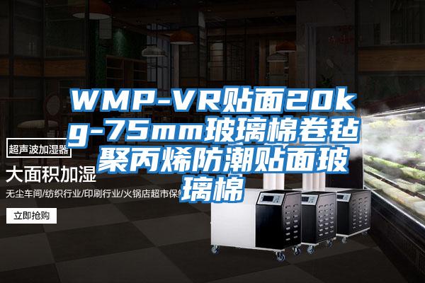 WMP-VR贴面20kg-75mm玻璃棉卷毡 聚丙烯防潮贴面玻璃棉