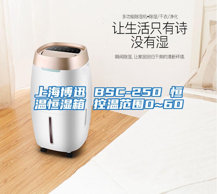 上海博迅 BSC-250 恒温恒湿箱 控温范围0~60℃