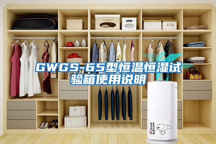 GWGS-65型恒温恒湿试验箱使用说明