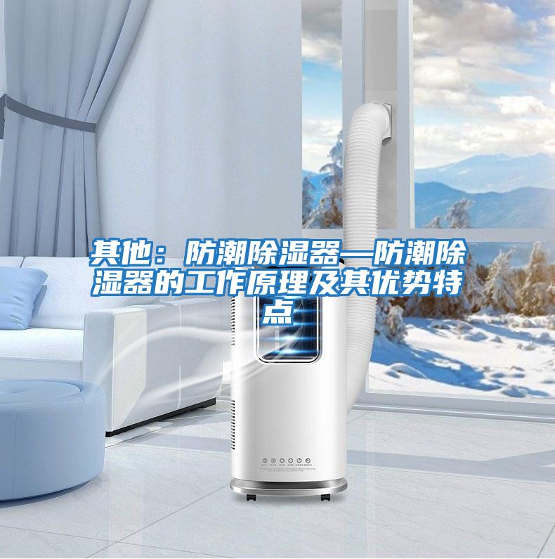 其他：防潮除湿器—防潮除湿器的工作原理及其优势特点
