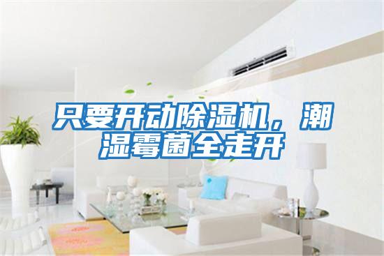 只要开动除湿机，潮湿霉菌全走开