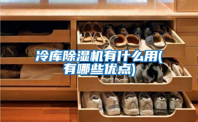 冷库除湿机有什么用(有哪些优点)
