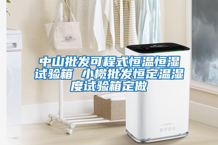 中山批发可程式恒温恒湿试验箱 小榄批发恒定温湿度试验箱定做