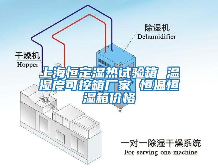 上海恒定湿热试验箱 温湿度可控箱厂家 恒温恒湿箱价格