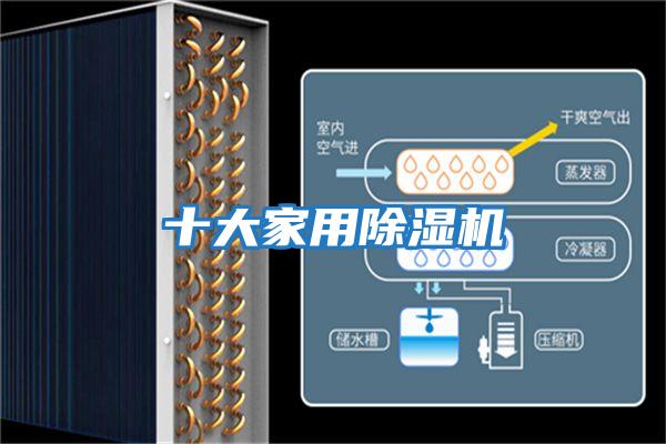 十大家用除湿机