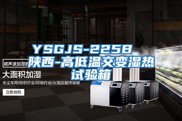YSGJS-225B  陕西-高低温交变湿热试验箱