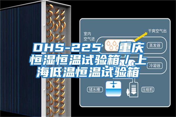 DHS-225  重庆恒湿恒温试验箱／上海低温恒温试验箱