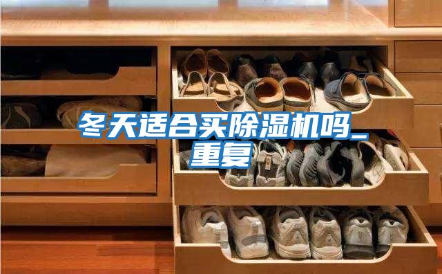 冬天适合买除湿机吗_重复