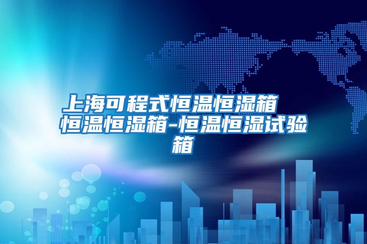 上海可程式恒温恒湿箱  恒温恒湿箱-恒温恒湿试验箱