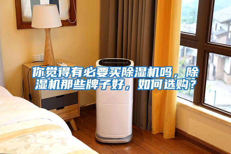 你觉得有必要买除湿机吗，除湿机那些牌子好，如何选购？