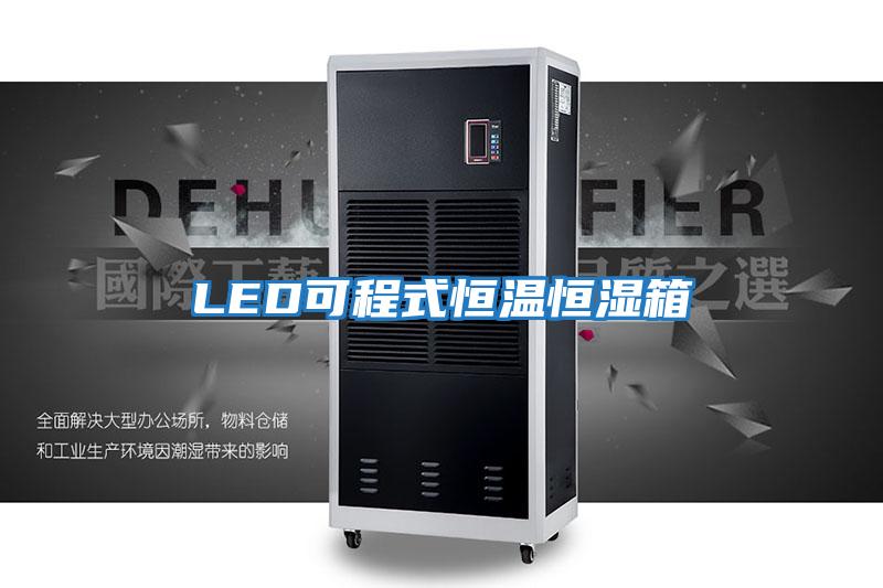 LED可程式恒温恒湿箱