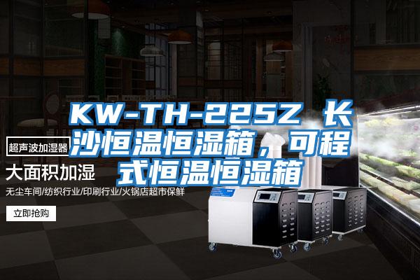 KW-TH-225Z 长沙恒温恒湿箱，可程式恒温恒湿箱