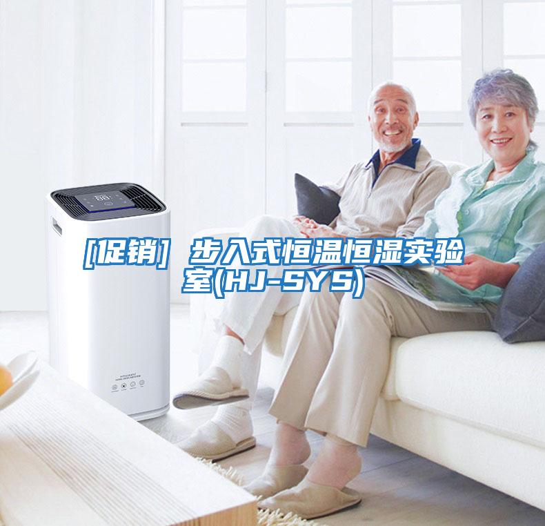 [促销] 步入式恒温恒湿实验室(HJ-SYS)