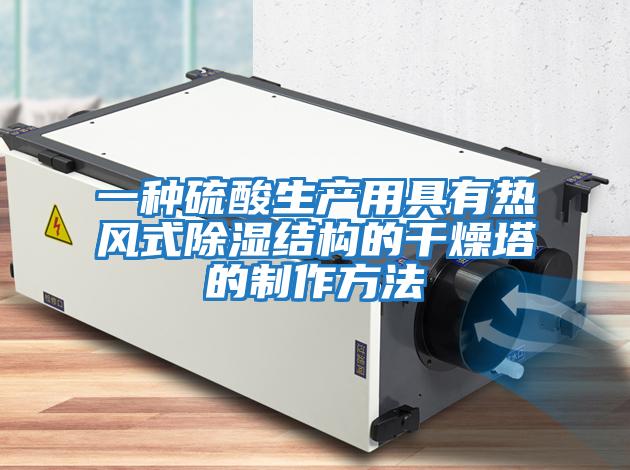 一种硫酸生产用具有热风式除湿结构的干燥塔的制作方法