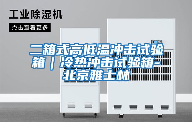 二箱式高低温冲击试验箱｜冷热冲击试验箱-北京雅士林