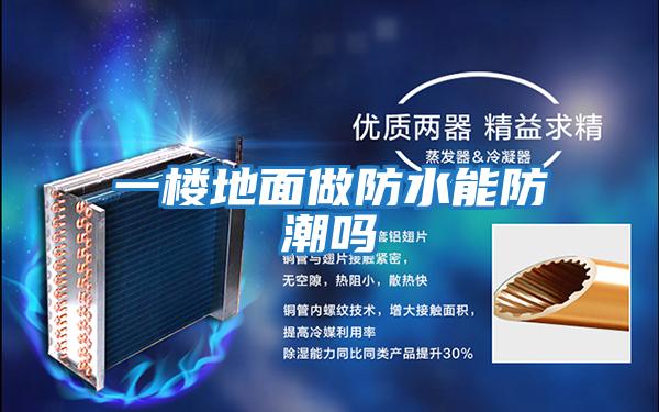 一楼地面做防水能防潮吗