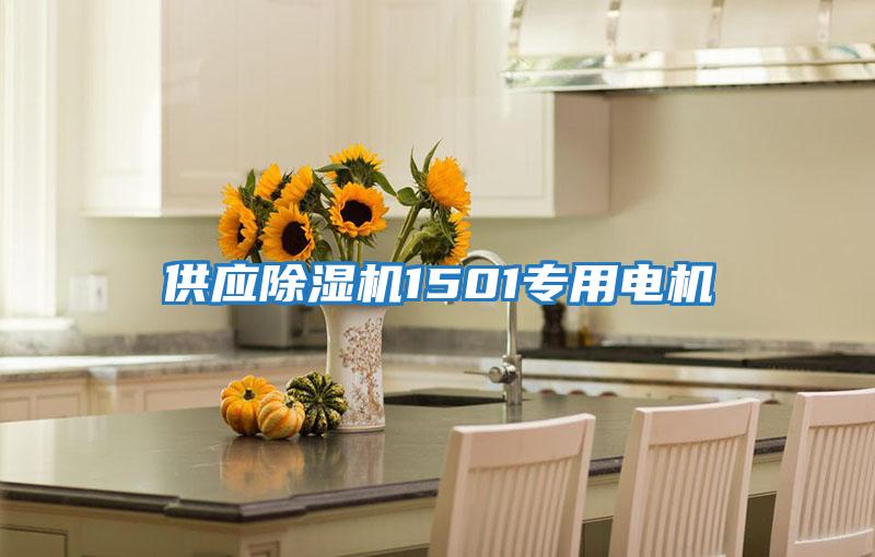 供应除湿机1501专用电机