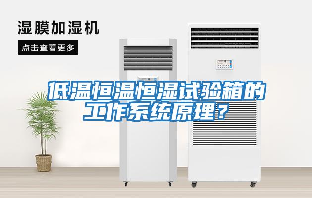 低温恒温恒湿试验箱的工作系统原理？
