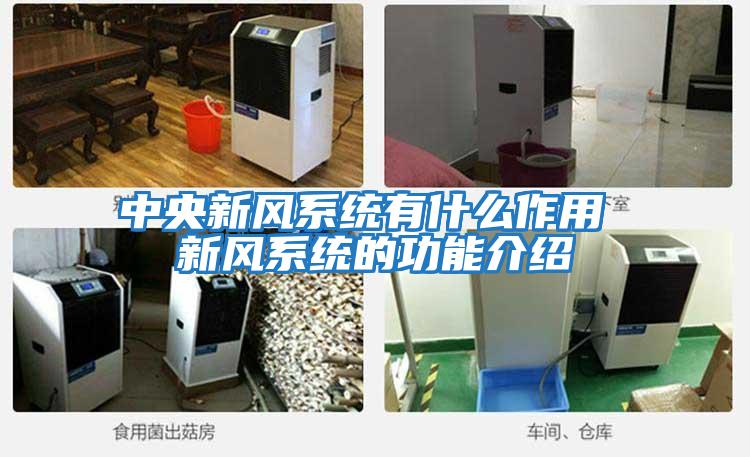 中央新风系统有什么作用 新风系统的功能介绍