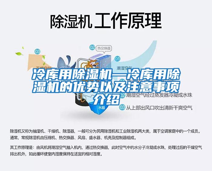 冷库用除湿机—冷库用除湿机的优势以及注意事项介绍