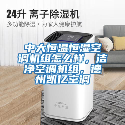 中大恒温恒湿空调机组怎么样，洁净空调机组，德州凯亿空调